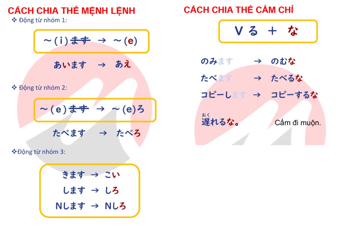 Ngữ pháp N4 Bài 33 – Ngữ pháp tiêu biểu